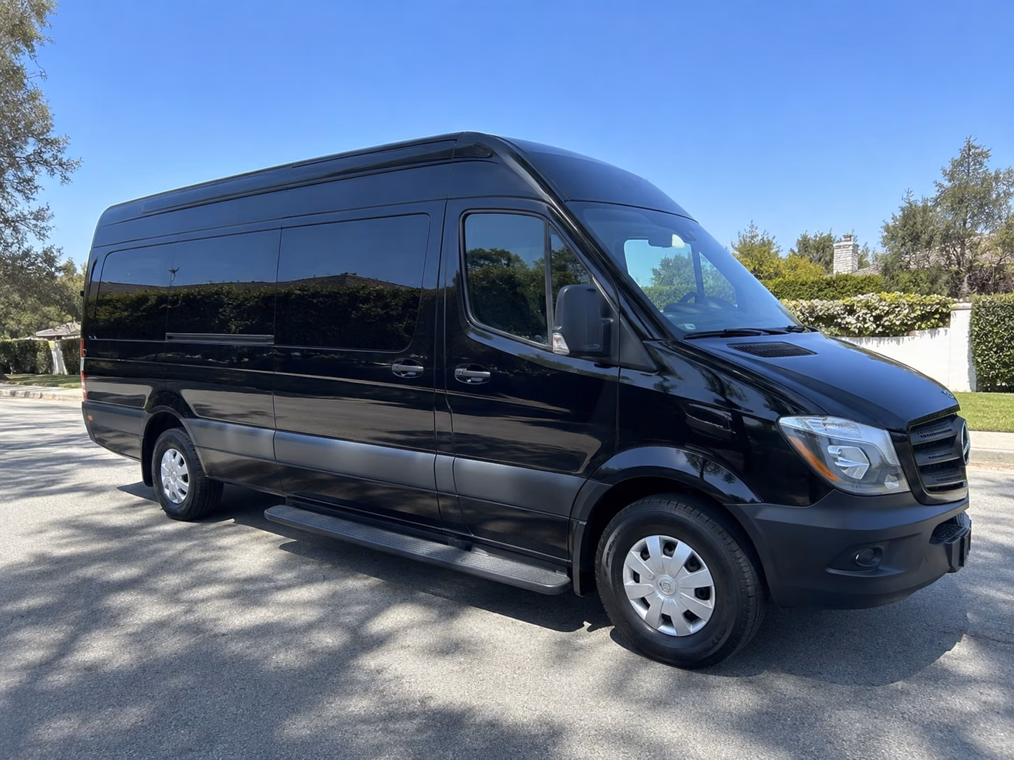 vineland sprinter van with driver